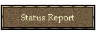 Status Report